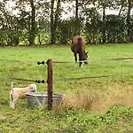 Bed & Breakfast De Nieuwenhof 'de Voorkamer'
