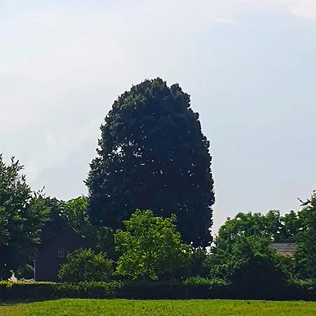 De Nieuwenhof 'de Voorkamer' Melderslo