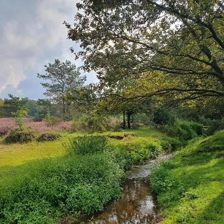 Bed & Breakfast De Nieuwenhof 'de Voorkamer' 3*