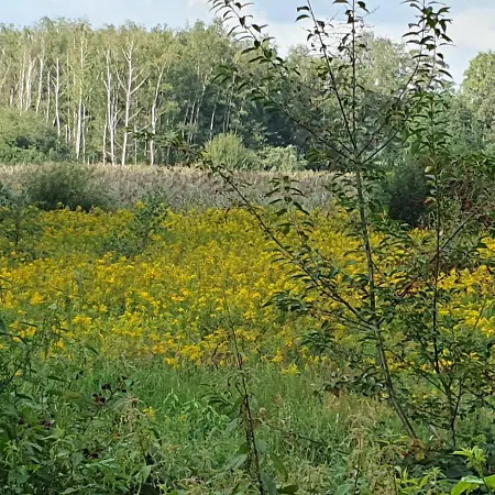 Bed & Breakfast De Nieuwenhof 'de Voorkamer' 3*