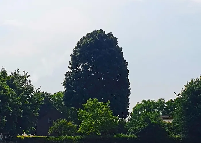 De Nieuwenhof 'de Voorkamer' Melderslo