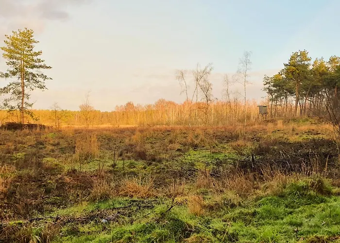 Bed & Breakfast De Nieuwenhof 'de Voorkamer' Melderslo