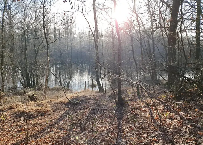 De Nieuwenhof 'de Voorkamer' 3* Melderslo