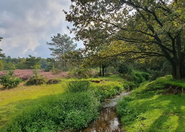 Bed & Breakfast De Nieuwenhof 'de Voorkamer' 3*