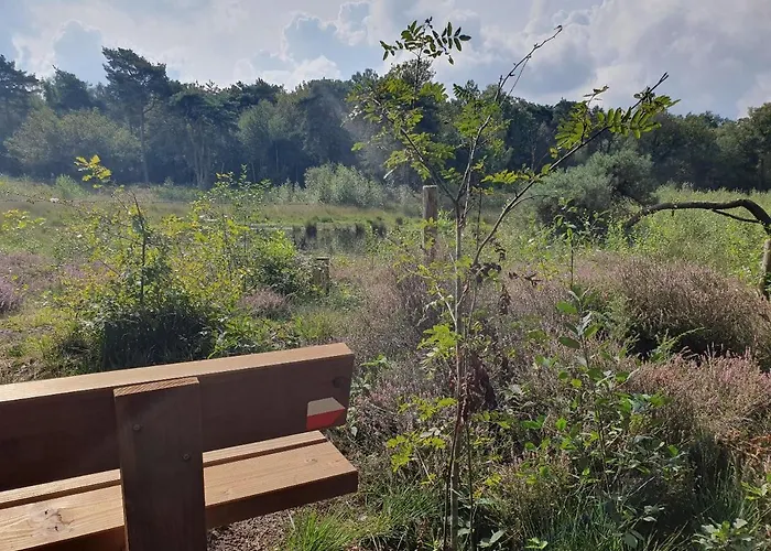 De Nieuwenhof 'de Voorkamer' Melderslo