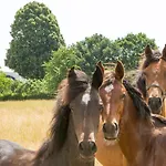 De Nieuwenhof 'de Voorkamer' Nocleg ze śniadaniem