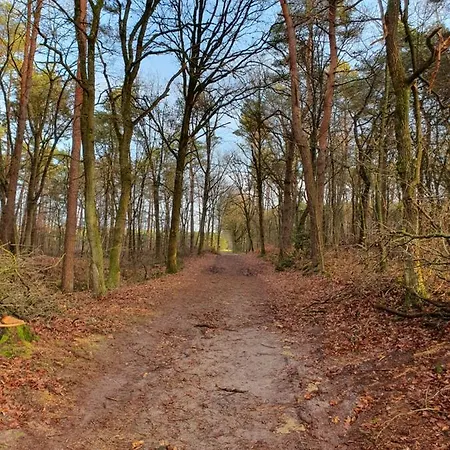 Bed & Breakfast De Nieuwenhof 'de Voorkamer' Melderslo