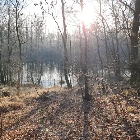 De Nieuwenhof 'de Voorkamer' 3* Melderslo